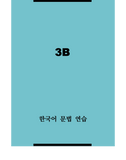 한국어 문법 연습 3B / Korean Grammar Practice 3B